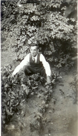 Micheal Godek in Garden with Beets - Chicopee Falls, Massachusetts